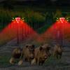 Solar Alarm LED Security Light for Deterring Wild Animals