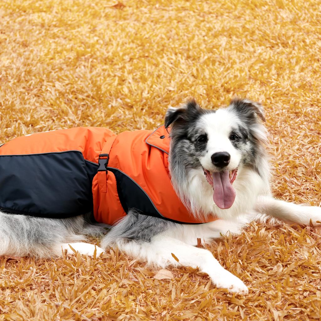 High Quality Reflective Harness Waterproof Heated Pattern Dog Coat Dog Clothes Winter Pet Dog Jacket