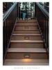 Recessed Waterproof Outdoor Stair and Pathway Light