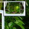 Green Trees Outside The Window Mural Forest Landscape Wallpaper Living Room Bedroom Study Sofa Tv Background Wall Home Decoration Mural
