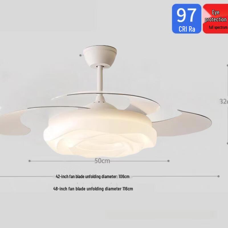 

Modern Decorative Ceiling Fan Light