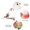 Characteristic Red Color Simulation Artificial Bird Decoration, 12pcs Quality Foam Fther Craft Clip Garden Home Wedding Window Ornament Prop, 100 Bran