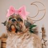 Dog Hair Bows Set for Small Dogs Puppy Festival Party Halloween Grooming Decor Pet Headband Bowknot Accessories Gift