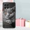 Schöne Graue Britisch Kurzhaar Katze Hülle Für Samsung Galaxy M35 M56 M12 M06 M32 M52 M55 M15 M11 M13 M14 M16 M36 M31 M53 M34 M54