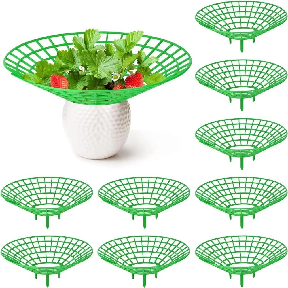 Growing Racks Strawberry Planting Tray Holder Strawberry Supports Plant Fruit Stand  Greenhouse