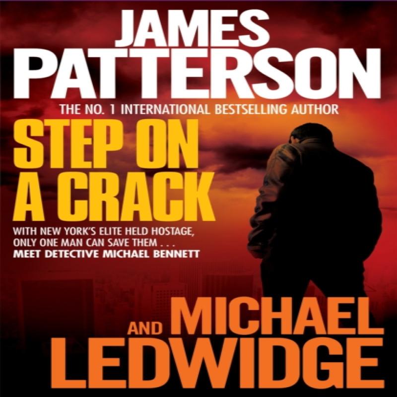 Step on a Crack by Michael Ledwidge Paperback Book 9780755349548