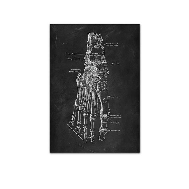 Human Musculoskeletal Heart Anatomy Skeleton Poster Canvas Painting and Printmaking Home Room Painting Decorative Art No Frame