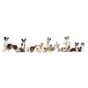 SucadoNew Pet Suit Tuxedo with Bow Tie and Scarf, Pet Costume Apparel for Birthday Parties Weddings and Photos for Dogs