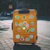 50 Succulents Doodle Stickers Suitcase Car Notebook Refrigerator Water Cup Waterproof Decorative Stickers
