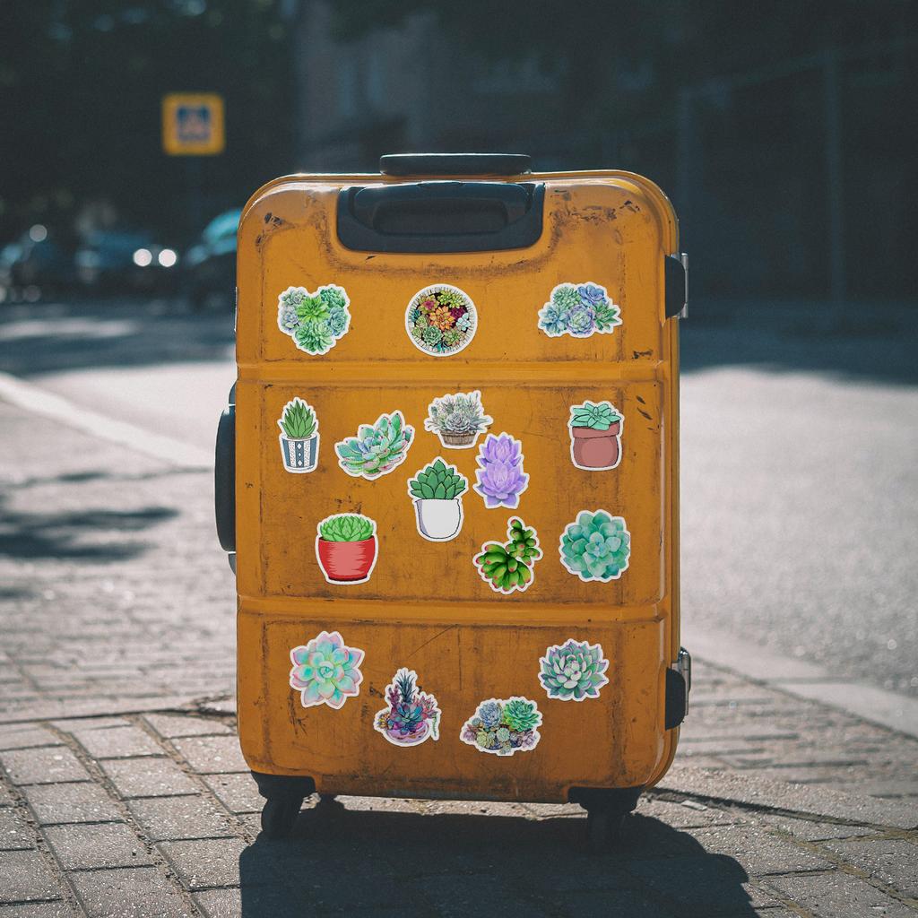 50 Succulents Doodle Stickers Suitcase Car Notebook Refrigerator Water Cup Waterproof Decorative Stickers
