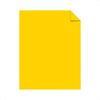 Neenah Astrobrights Bright Color Paper 8 1 2in. X 11in. 24 Lb FSC Certified Solar Yellow Ream Of 5 Sheets 21538