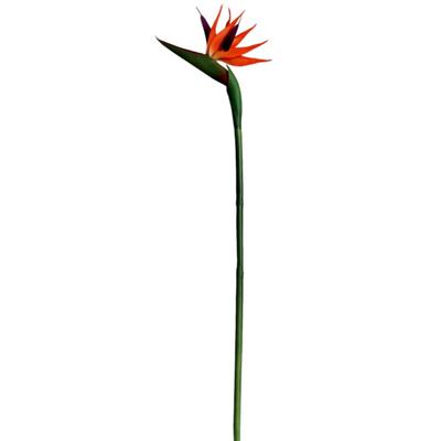 Artificial Flower Simulation Fake Strelitzia Reginae Flower Chinese Home Decoration Wedding