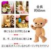 [USED] Honeybear Honeybear Renge Teddy Bear Collaboration/Cocoa H278