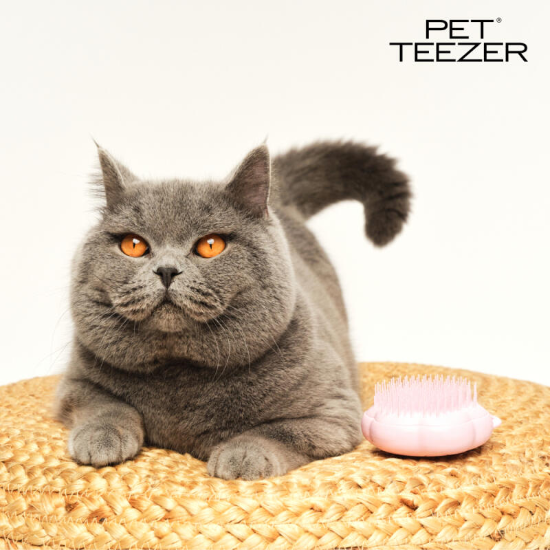 

[Peteezer] Cat Grooming Brush Millennial Pink