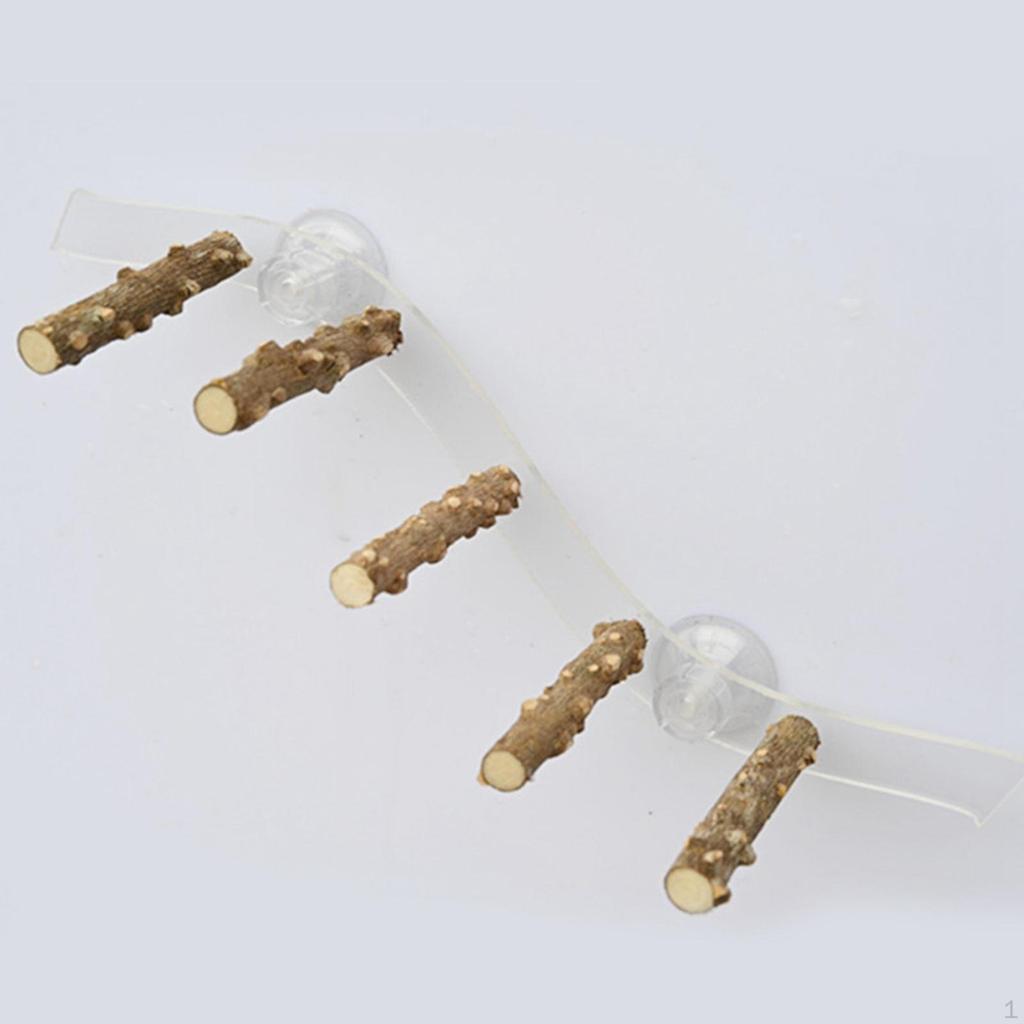 Przyssawka Drewniana Żerdź Zabawka Ptak Okno i Prysznic Zabawki dla