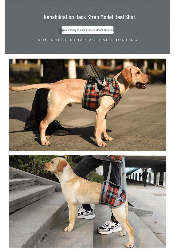 Pet Postoperative & Senior Dog Leg Support Brace