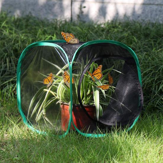 Habitat dobrável da borboleta que alimenta a gaiola da malha do terrário do cultivo