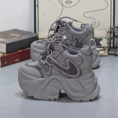High-top Dad-style Shoes - New Autumn-winter Style, Heightening, Casual and Sporty Women's Shoes