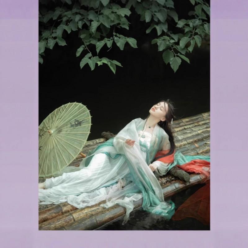 Womens Tang Dynasty Style Hanfu Set Embroidered Wide Sleeve Top Printed Skirt Chiffon Four Outfit