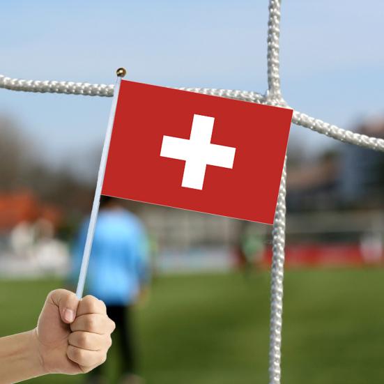 10 Stück Fans Jubelflagge Wunderschön Exquisit Feine Verarbeitung Langlebig Blickfang Jubel Leichtgewicht Nationalflaggen Wimpelkette Wimpel für Wettbewerb