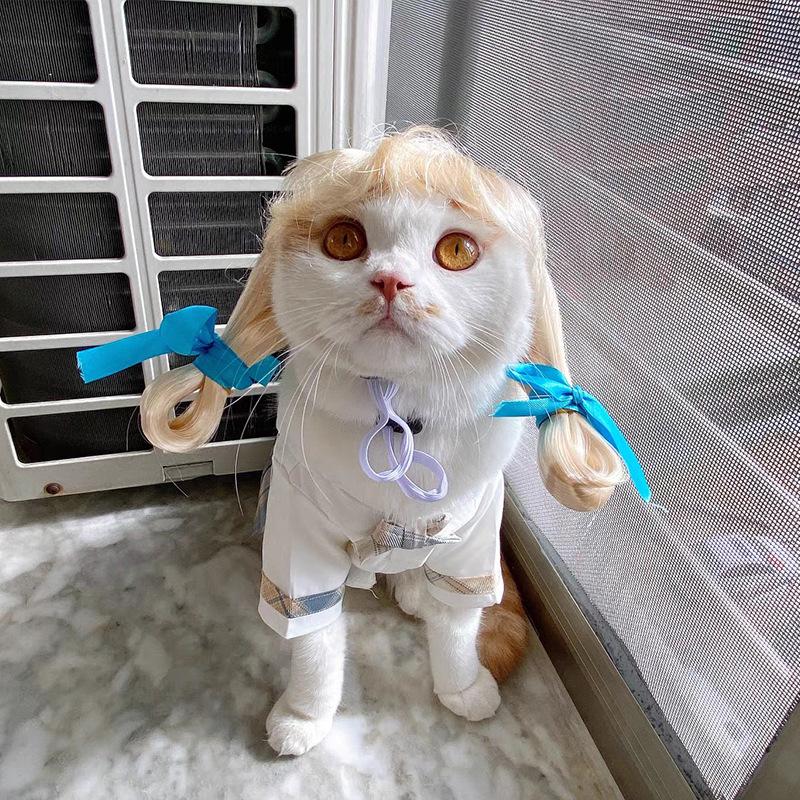 Adorable Cat Wig Featuring Center Part And Colorful Braids For Unique Pet Costumes