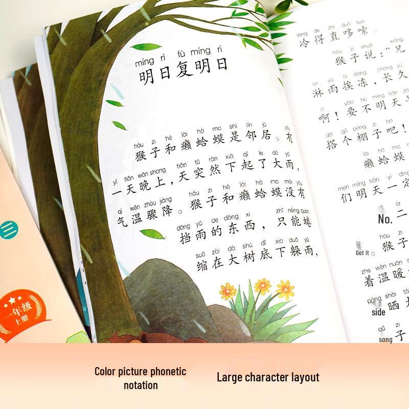 Children's Comprehensive Educational Books Collection