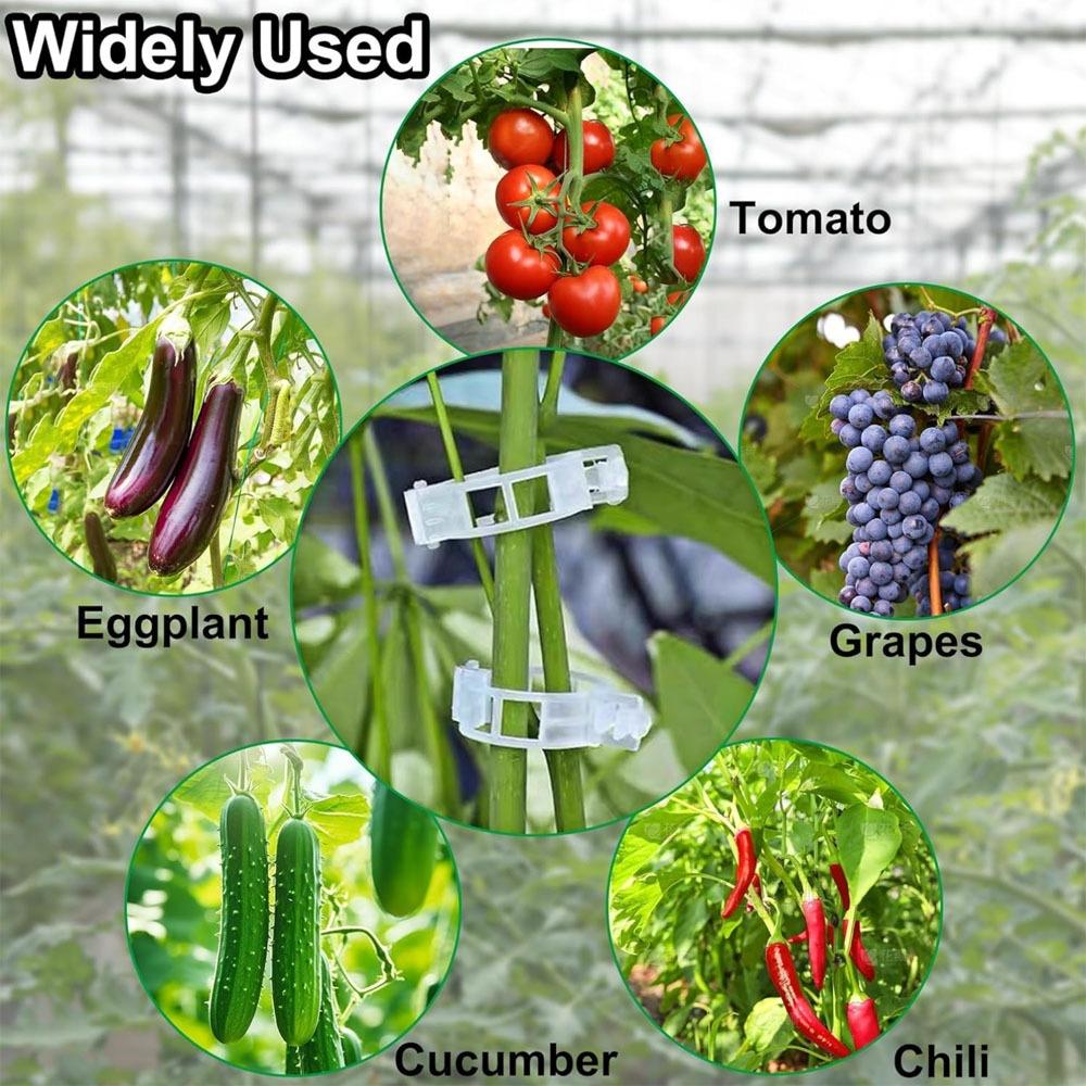 200 Stück Wiederverwendbare Pflanzenstützklemmen Tomatenrankenclips Garten Gemüse Gitter Rankhilfe Clips