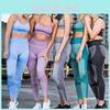 Sleek Women Sleeveless Yoga Set With Padded Bra And High Waisted Elastic Leggings