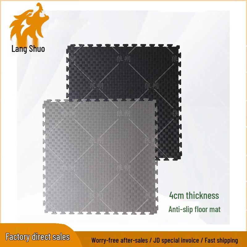 WolfShuo Martial Arts Training & Assessment System