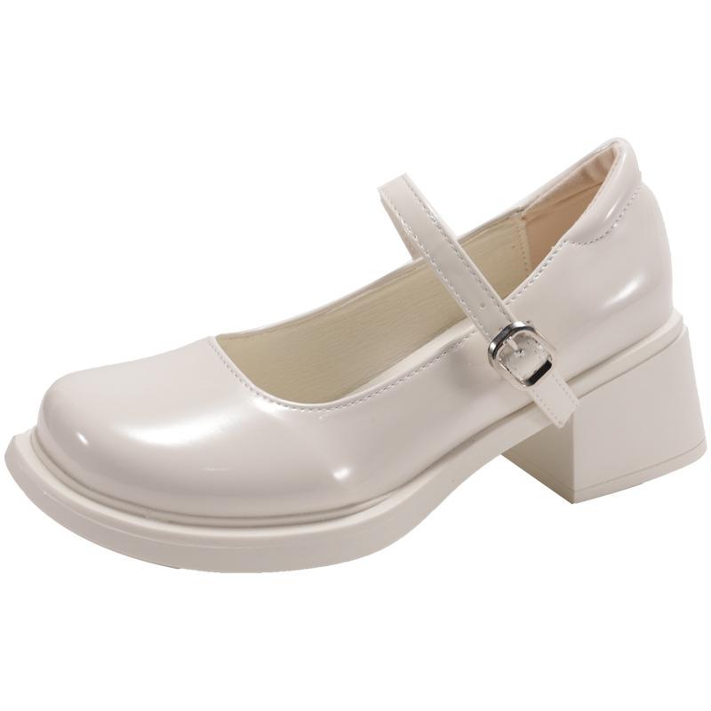 White French retro thick heel heightened small leather shoes women's 2025 new autumn skirt light mouth Mary Jane single shoes