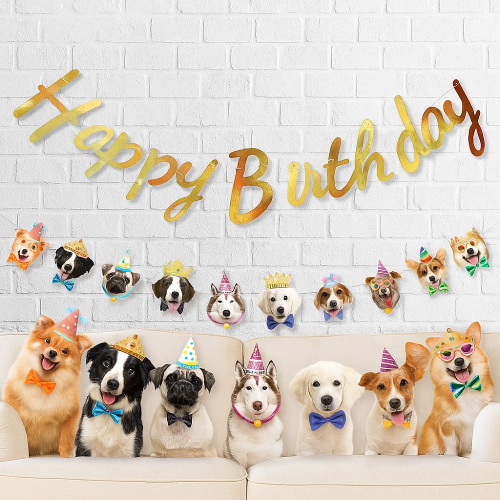 Paper Happy Birthday Banner Cartoon Pattern Animal Birthday Banner Kindergarten Decoration