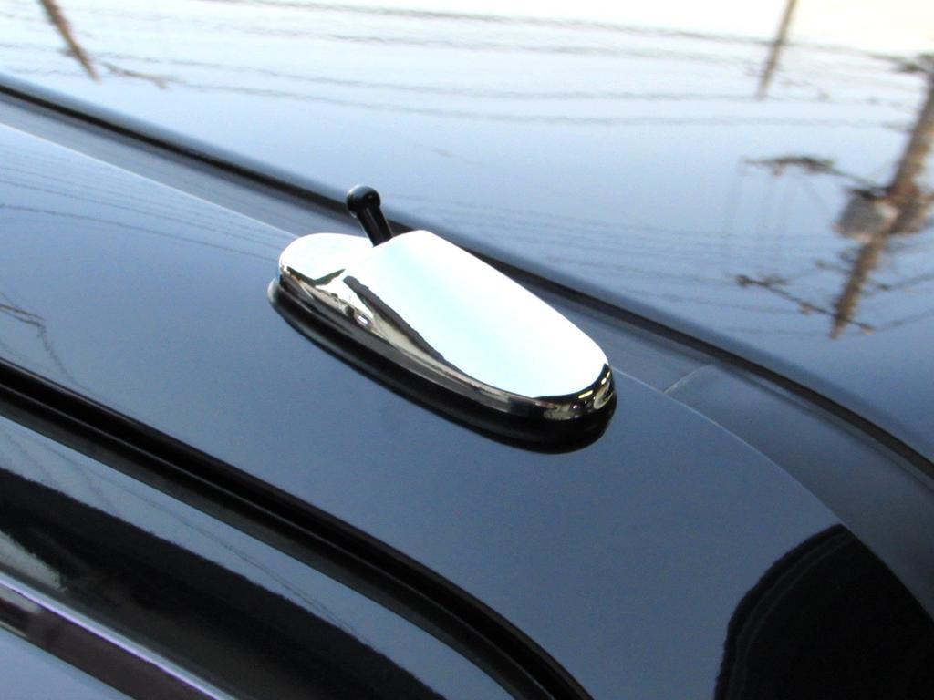 BRIGHTZ Every Van DA17V Plated Antenna Cover AA Type [ANTENNA-016]