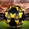 AMAZONAS FC Indoor Soccer Ball Colorful All Ages Size 5 Machine Stitched PVC Competition Ready Durable High-Bounce