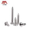 304 Stainless Steel Phillips Pan Head Self-Tapping Screws
