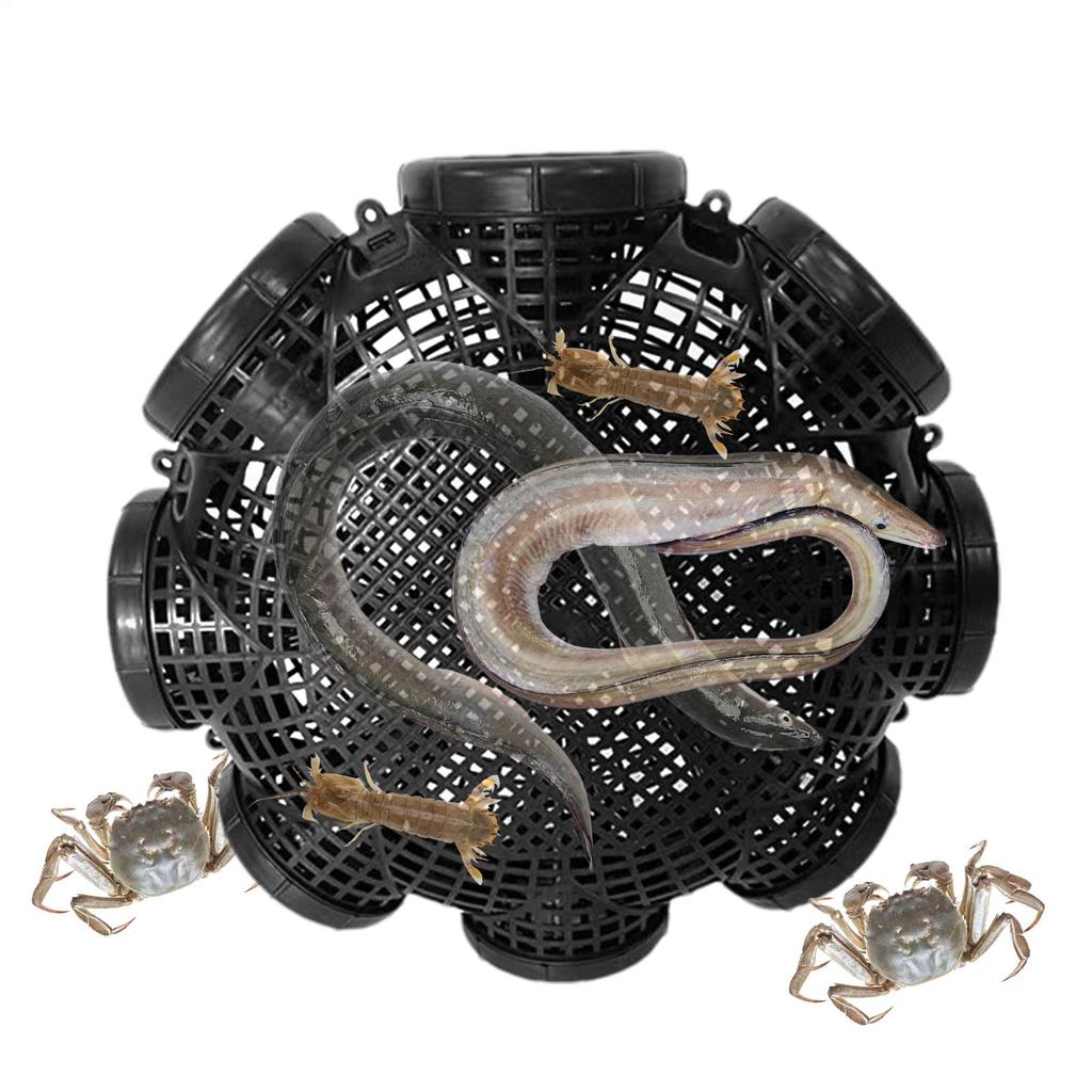 Fish Traps Pinfish Trap Portable Cage Accessories Net for Shrimping Boat Beach Aquarium Turtle Lake Outdoor Crayfish