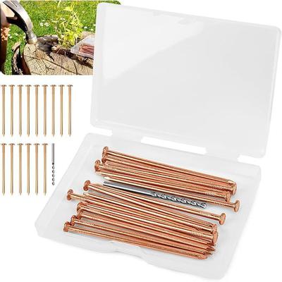 15 Stück Kupfernägel zum langsamen Töten von Baumstümpfen und Wurzeln, 3,15" Kupfernägel mit Bohrer, Stumpfentfernungs-Spikes Nägel für Bäume, Stümpfe