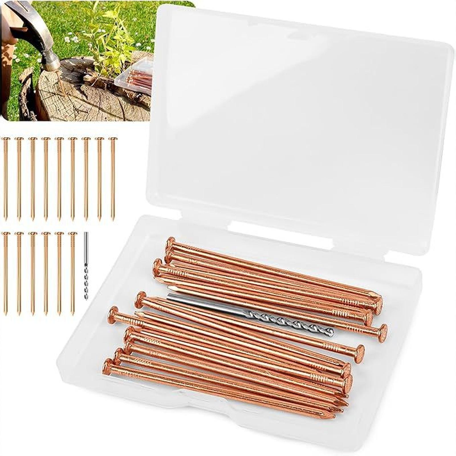 

15 pcs Copper Nails for Killing Trees Stump Root Slowly, 3.15 Copper Nails with Drill, Stump Removal Spikes Nails for Trees, Stumps one size золотий