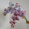 Luxury Artificial Phalaenopsis Flower Arrangement - 9 Heads, Morandi Color for Weddings & Hotels