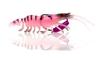 Chasebaits Flick Prawn 65 mm 3.5 grams Sinking Lure 2/pack 03 (0022)