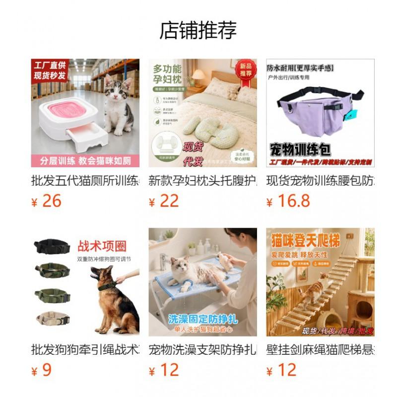 Breathable Pet Carrier Backpack Cats - Large Capacity Ventilated Mesh Design Stress-Free Travel Small To Medium