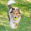 SOCO 16 Pack Small Tennis Balls for Pet Playing Fecth, 2 Inch Dog Training Tennis Balls for Mini Size Dogs, Interactive Dog Playing Balls Fits All 2