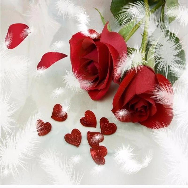 Red Rose Wallpaper Feather Wall Murals Living Room Bedroom Background Wallpaper