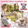 Dog Toys That Are, Chewable, And Help With Teething And Tiring For Puppies.