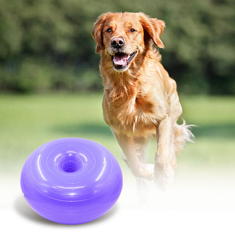 Hundträningsboll, hundträningsutrustning, kondition, förebyggande av patellaluxation