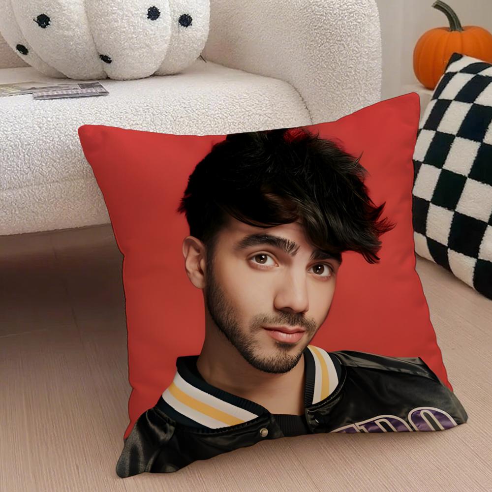 Creative Funny Argentine Creator FFede Vigevani Cushion Cover Throw Pillow Cover Hidden Button Durable Polyester Chair Cushion