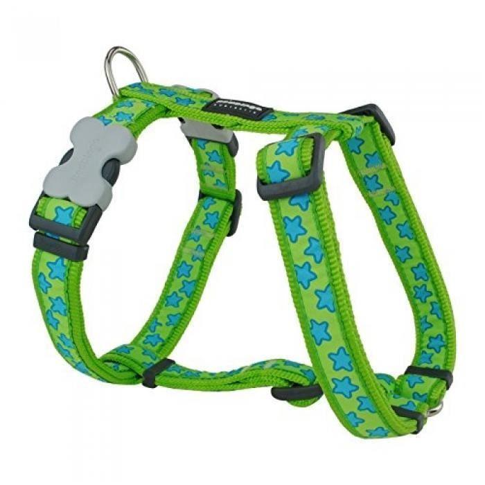 Harnais Réglable Pour Chien - RED DINGO - Vert Avec Étoiles Bleues - 54 À 74 Cm - 25 Mm