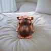 New Angry Hippo Baby Figurine Cartoon Resin Crafts  Statues Collectibles Decorative Collectible Figures Desktop Decoration