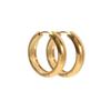 Elegant Gold Stainless Steel Earrings - Versatile, Trendy, and High-Class Jewelry for a Sophisticated Look.