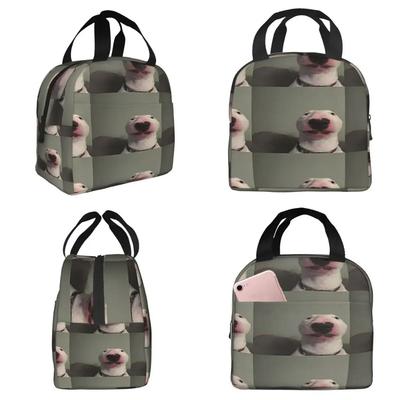 Walter The Dog Insulated Lunch Bag for Kids School Cooler Thermal Food Box Tote Portable Lunch Boxes Container