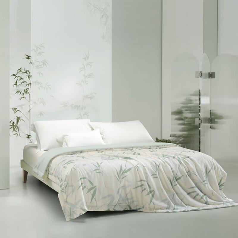 Mercury Home Textiles Premium Mugwort Antibacterial Summer Quilt